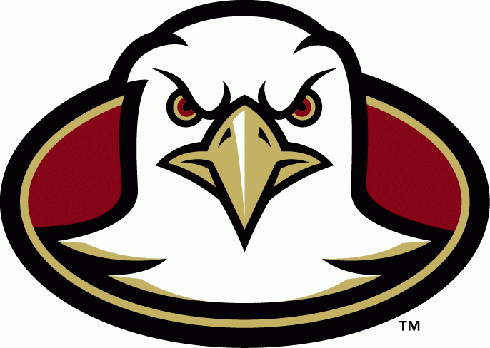 Boston College Eagles 2001-2004 Alternate Logo heat sticker